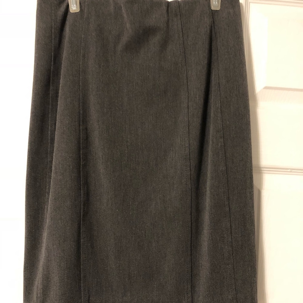 Express Pencil Skirt